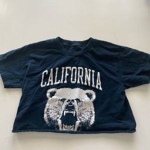 brandy melville crop top